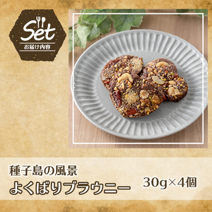 n409 種子島の風景 よくばりブラウニー(30g×4個) スイーツ 菓子 焼き菓子 おやつ ピーカンナッツ カシューナッツ ピスタチオ マカダミア ヘーゼルナッツ チアシード アーモンド ココナッツ