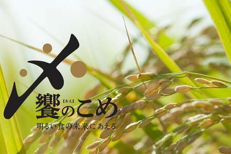 【期間限定発送】 米 令和7年 ひゃくまん穀 精米 5kg [中橋商事 石川県 宝達志水町 38601147]