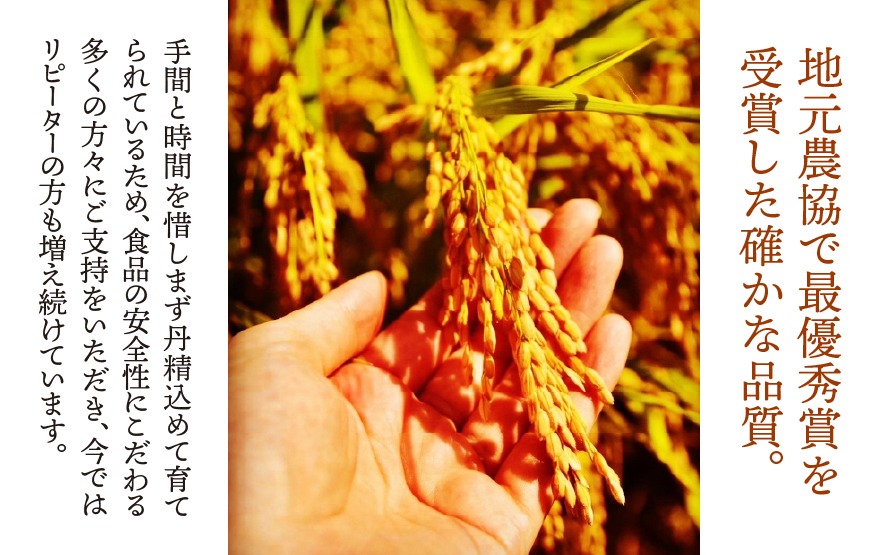 BE-5c T rice Store 岐阜県産コシヒカリ（玄米） 約5kg