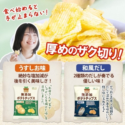 純国産 ポテトチップス うすしお味 和風だし 各12袋【1721196】