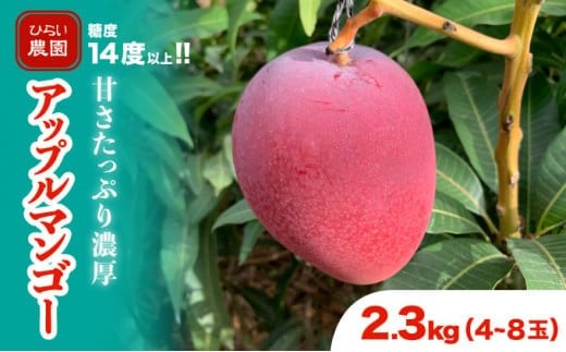 2026年 先行予約 アップルマンゴー 約2.3kg 4～8玉 西表島ひらい農園 マンゴー 果物 フルーツ 約2.3kg（4～8玉）