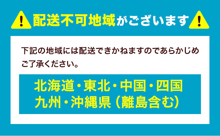 数量限定 天然 活 はまぐり 1kg 1個:40g～80g 寺田水産 《11月中旬-6月末頃出荷》千葉県 勝浦市 海産 貝 はまぐり【配送不可地域：離島・北海道・沖縄県・東北・中国・四国・九州】---