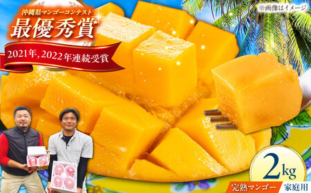 マンゴー 2026年発送 先行予約 訳あり 仲村農園の完熟アップルマンゴー 2kg 沖縄市 / 仲村農園 [BCCU003]