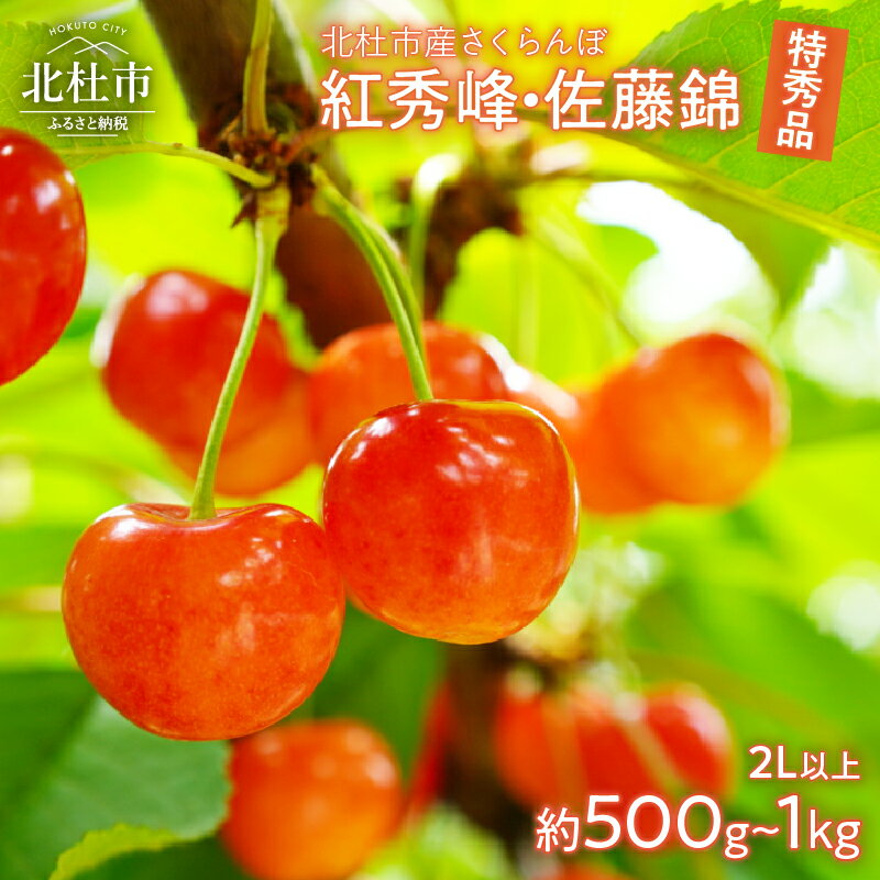【ふるさと納税】 さくらんぼ 佐藤錦 紅秀峰 期間限定 選べる容量 500g 1000g 特秀品 2L以上 大玉 果物 くだもの フルーツ 夏果実 サクランボ チェリー 桜桃 高級 山梨県産 産地直送 中嶋園 【2025年先行予約】 送料無料