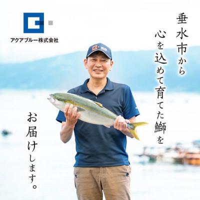 ふるさと納税 垂水市 【鹿児島産ぶり冷凍】漬け焼き魚 照り焼き 計700g 【アクアブルー】 A1-47147 |  | 03