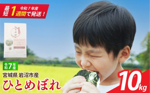 【 令和7年産 】 宮城県産 ひとめぼれ 10kg (5kg×2袋) 単品 一等米 すぐ 届く 米 精米 東北米 ふるさと納税 米 お米 白米 コメ ライス ご飯 米10kg 10キロ ごはん 美味しい 国産 宮城県 岩沼市 kome okome お取り寄せ 産地直送 東北 SD002