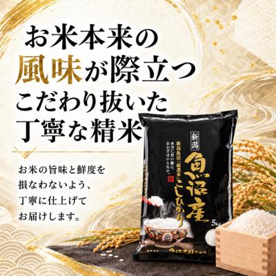 ふるさと納税 魚沼市 【毎月定期便】《無洗米》【食味鑑定士厳選】　新潟県魚沼市産こしひかり　5kg(5kg×1)全9回 |  | 01