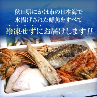 開けたらすぐ食べられる日本海の鮮魚定期便（２～３人前・年４回）(魚介 下処理済み 詰合せ 詰め合わせ セット)