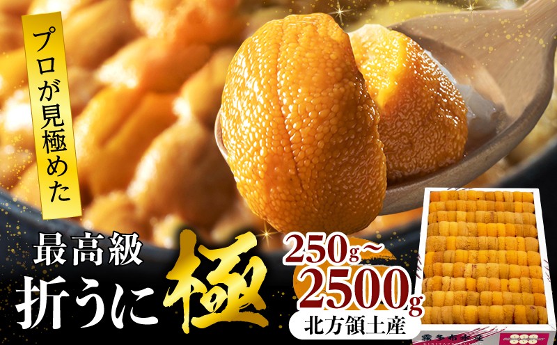 
                  【内容量が選べる】 折うに(極) 250g～2500g うに ウニ 雲丹 折うに バフンウニ 天然うに 天然バフンウニ 生うに 海鮮 海産物 北海道 浜中町 ふるさと納税 人気_H0014-100-SKU
                