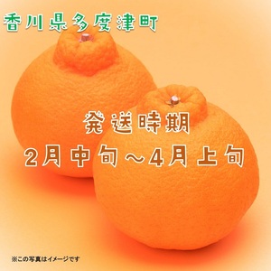 不知火（デコポン）約3kg【予約受付中！令和6年2月下旬より発送】【A-42】