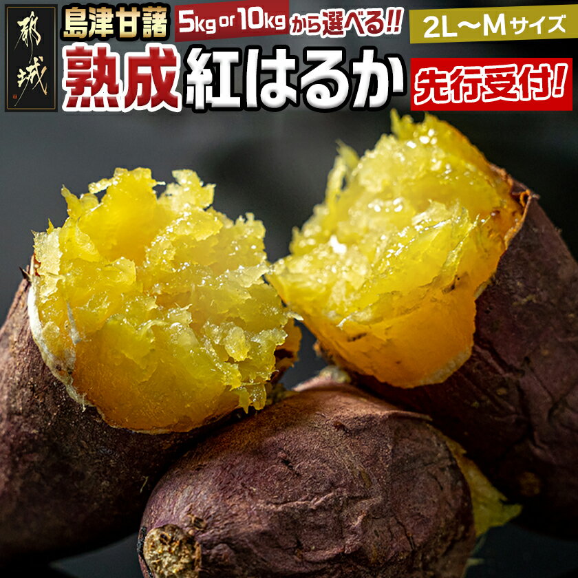 【お届け月が選べる】島津甘藷 熟成紅はるか 10kg(2L〜2S) - 幻のサツマイモ/幻の品種『紅はるか』 10キロ(2Lサイズ〜2Sサイズ) 10月/11月お届け