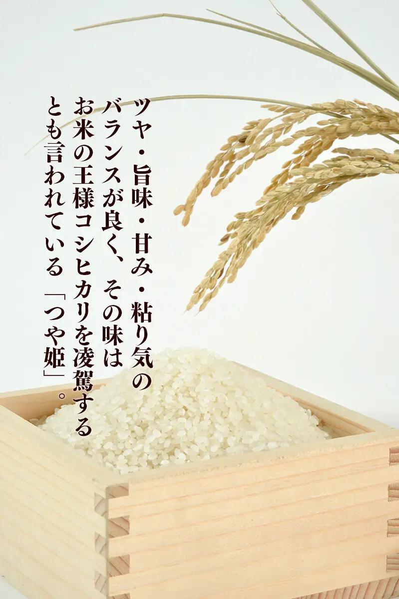 米【2026年10月以降順次発送 先行受付】 令和8年産 つや姫 10kg×1袋【白米】至極の一杯 こだわりのお米 オシャレな袋