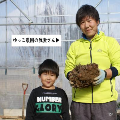 ふるさと納税 川西町 「2024年10月下旬発送開始」農家直送土付き里芋(大和早生)5kg |  | 02