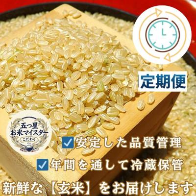 ふるさと納税 吉野ヶ里町 【2ヵ月毎定期便】【玄米】さがびより10kg(5kg×2)五つ星お米マイスター厳選 吉野ヶ里町全2回 |  | 03