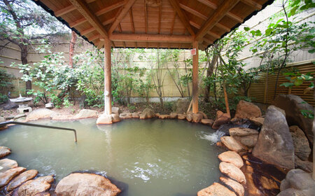 くつろぎセット 大谷の湯 温泉入浴＋お食事券 4名様分【社会福祉法人青生会】[BHCM001]