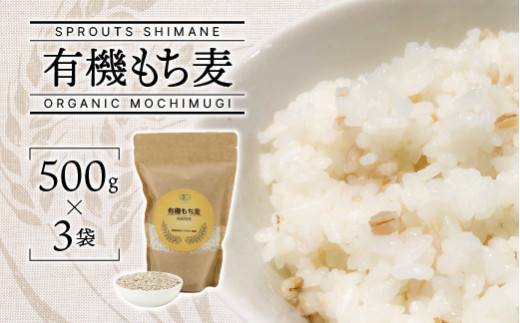 有機もち麦 500g×3袋（計1500g）【SS-4】｜送料無料 もち麦 麦 無農薬 雑穀 穀類 お米 ご飯 サラダ スープ ヘルシー カロリー 腸活 食物繊維 健康 健康志向 ダイエット プチプチ 有機栽培 チャック付き 計1500g｜