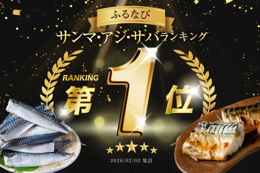 訳あり 塩サバ 3kg [宮城県 気仙沼市 20564146] サバ