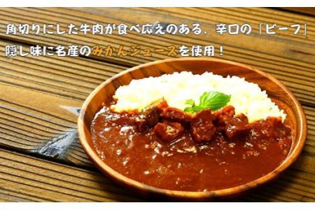 紀の国仕立て食べ比べセット【ビーフカレー：5個　ハヤシライス：5個】(B673-1)