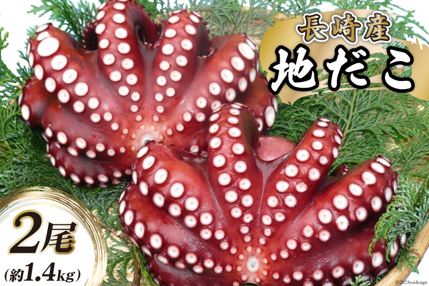 CB044 長崎産 地だこ2尾(約1.4kg)