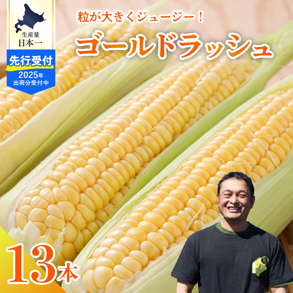 【2025年分先行予約】とうもろこし スイートコーン ゴールドラッシュ 13本 トウモロコシ 野菜 BBQ ソロキャンプ 送料無料 お取り寄せ 北海道 十勝 芽室町me062-002c-25