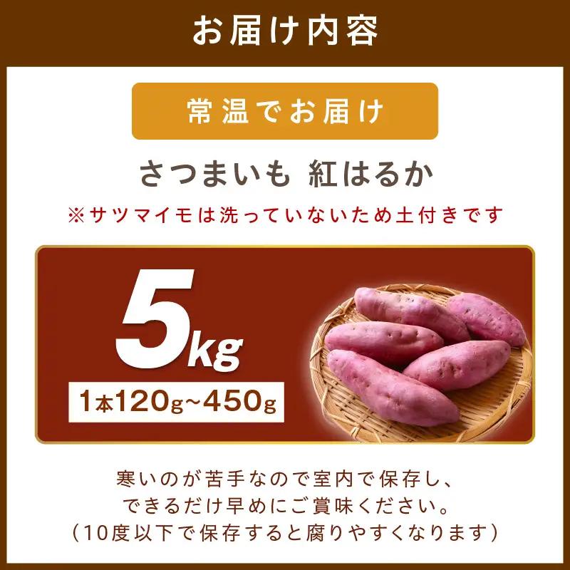 日本一の京都産「紅はるか」5kg（サツマイモ　野菜　スイーツ　お菓子　焼き芋　さつまいも）