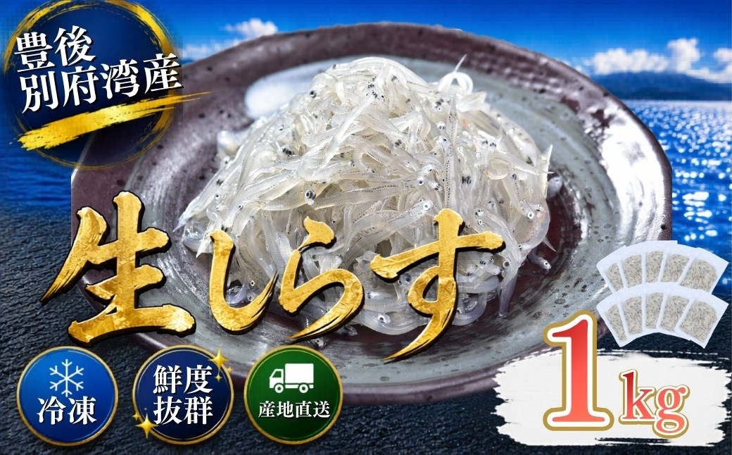 
                  豊後別府湾生しらす 計 1kg（100g×10パック） 国産 添加物不使用 ／ 生しらす しらす 国産 小分け 冷凍 生シラス なましらす ナマシラス しらす シラス 1kg 1キロ 冷凍配送 海鮮丼 おつまみ スピード発送 スピード ＜108-222＞
                