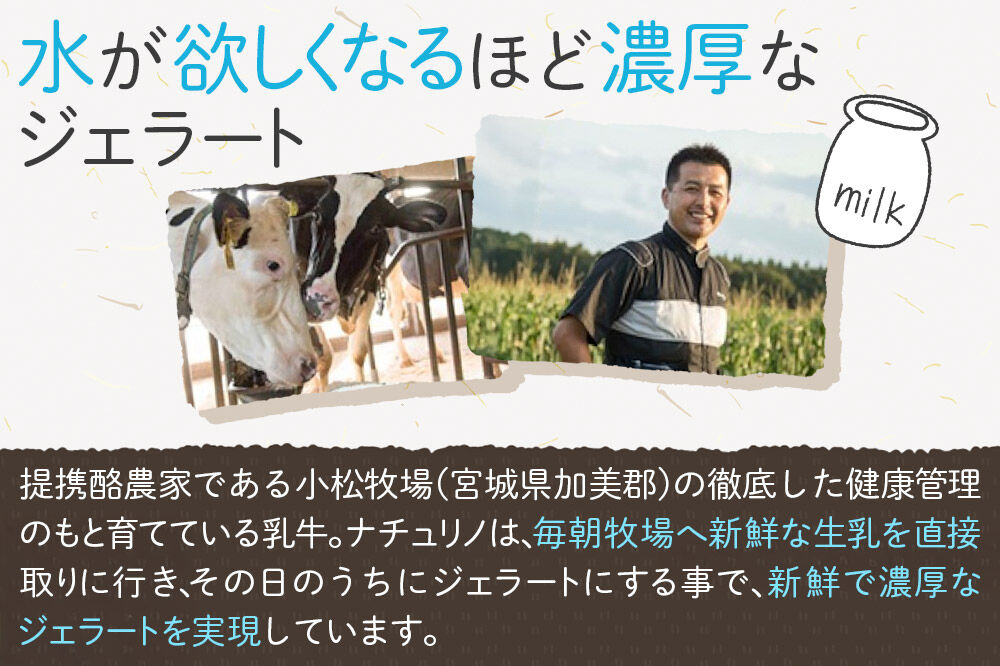 ナチュリノ自慢の手づくりジェラート 6種 自然派 人気店 Gelateria Natu-Lino natulino [ジェラート アイスクリーム スイーツ フルーツ カップ]