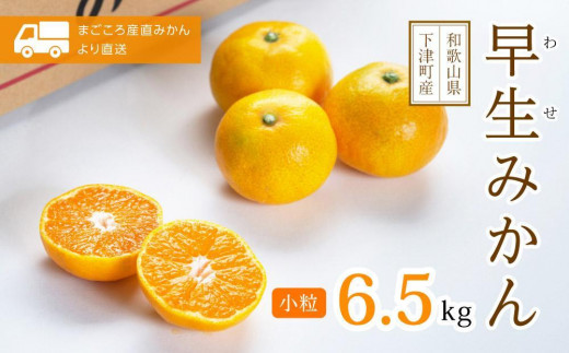 
            小粒みかん【秀品】S・SSサイズ 6.5kg【早生みかん】11月～1月にまごころ産直みかんより農園直送｜Sサイズ 2Sサイズ 小玉 小粒 小さい こつぶ こだま ※北海道・沖縄・離島への配送不可 ミカン 蜜柑 mikan 早生みかん
          