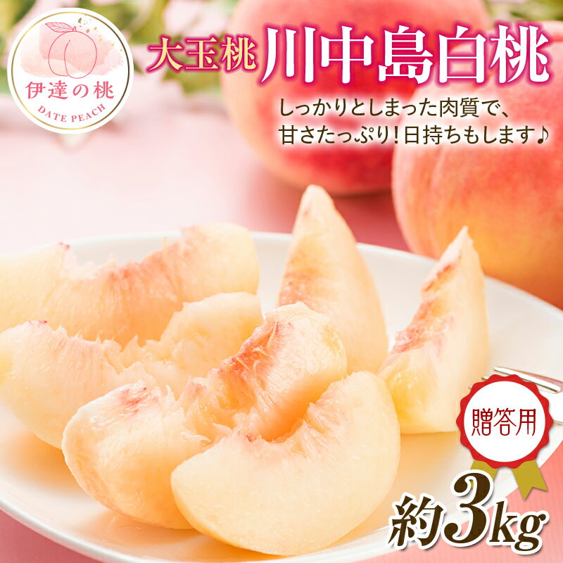 【ふるさと納税】【2026年出荷分先行予約】福島県産 川中島白桃 約3kg (約10玉) 一般社団法人つきだて振興公社 白桃 大玉 贈り物 贈答 ギフト 伊達の桃 桃 フルーツ 果物 もも モモ momo F20C-521