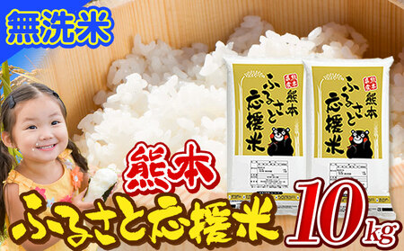 米 無洗米 家庭用 熊本 ふるさと応援 米  10kg《11月-12月より出荷予定(土日祝を除く)》 熊本県産 白米 精米 山江村 ブレンド米 国産 洗わず コロナ おうちご飯 予約 返礼品 発送 配送 SDGs