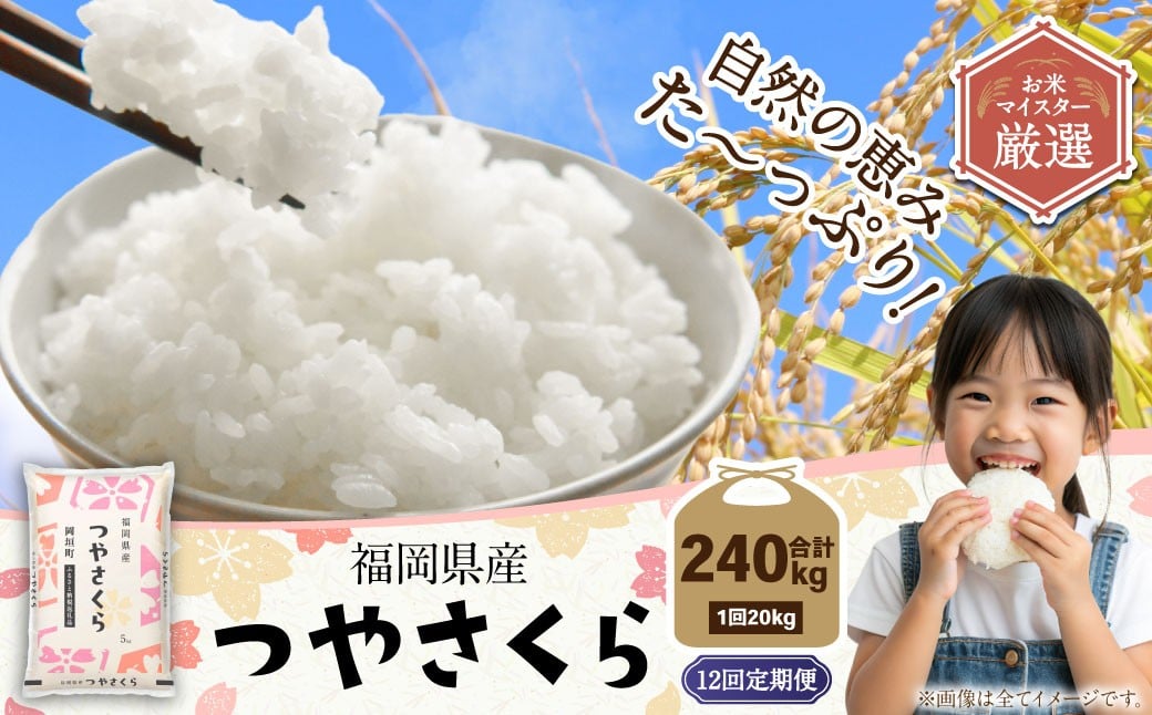 【12ヶ月定期便】福岡県産つやさくら 20kg 岡垣町 ふるさと納税返礼品 お米 こめ 精米 ご飯 ごはん 国産 定期便