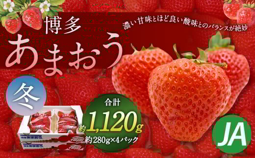 博多 あまおう 4パック（冬）【2025年12月上旬～2026年1月下旬発送予定】