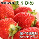 【ふるさと納税】 いちご 和歌山県産ブランドいちご「まりひめ」約300g×2パック入り 【選べる発送月】 【3月～5月発送】（お届け日指定不可）イチゴ 苺 まりひめ 和歌山 オリジナル 甘味 濃厚 ジューシー