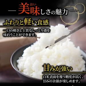 金色の風 精米 5kg 岩手県産 米 白米 こんじきのかぜ はくまい お米 コメ rice ごはん 常温 常温保存 保存 農家 農作物 栄養 夕飯 大船渡 三陸 岩手県 国産