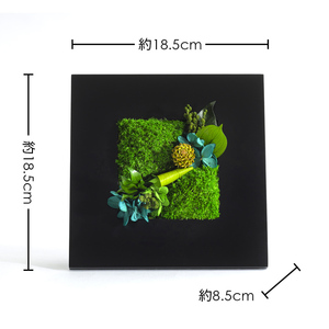 グリーンフレームM 花 お花 プリザーブドフラワー ギフト プレゼント お祝い 誕生日 お供え アレンジ インテリア 東京都 墨田区 白フレーム