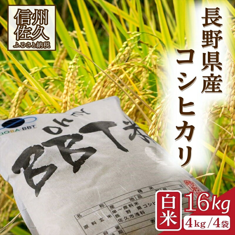 【ふるさと納税】【令和8年産・白米16kg（4kg×4袋）】特別栽培米　BBT米（五郎兵衛米） 〈2026年9月下旬頃～順次発送〉 先行予約　新米　信州　こしひかり