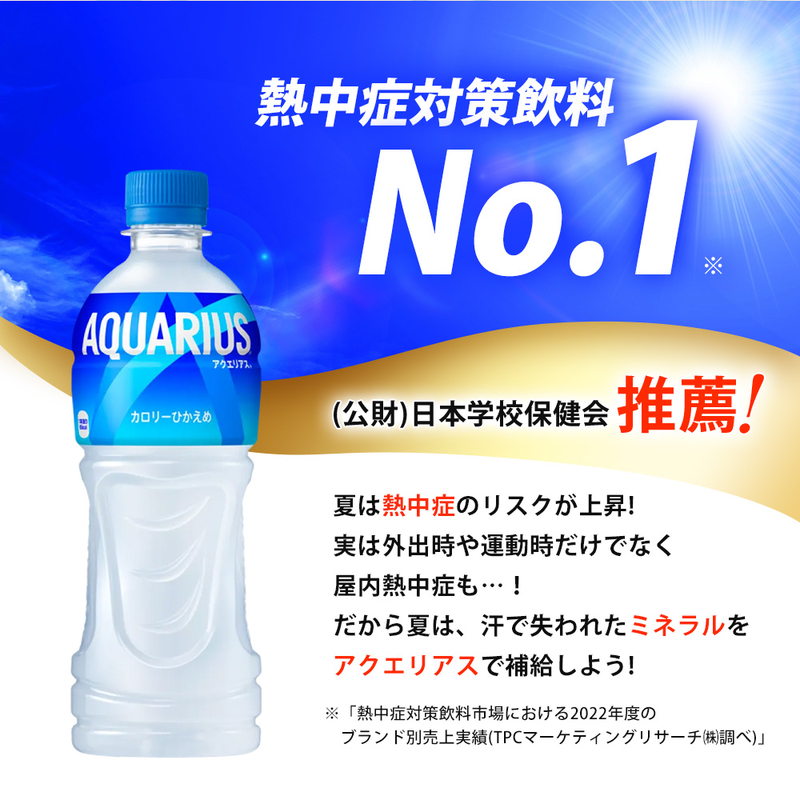 【3か月定期便】アクエリアス PET 2L×6本  スポーツドリンク スポーツ飲料 清涼飲料水 水分補給 ペットボトル 箱買い まとめ買い 備蓄 災害用 014044