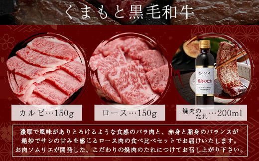 【定期便2回目】くまもと 黒毛和牛 カルビ・ロース 焼肉 食べ比べ セット