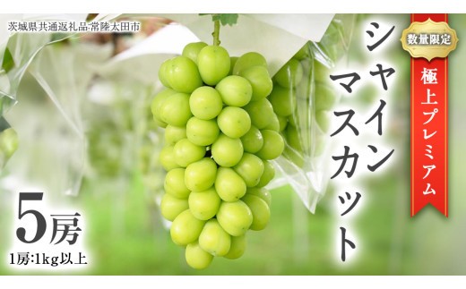 
                  極上 プレミアム シャインマスカット ５房 ( １房 1kg 以上) 数量限定 【茨城県共通返礼品／常陸太田市】 桧山果樹園 農家直送 桧山果樹園 農家直送 フルーツ  甘い 直送 茨城 限定 ギフト ぶどう シャインマスカット 旬 贈答 果物 [DU018sa]
                
