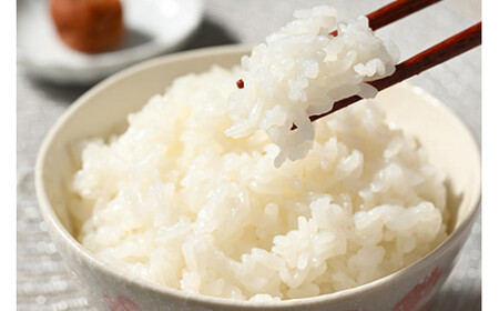 【定期便】6か月 座間市産米　はるみ5kg×6回　※離島への配送不可　※2024年10月中旬頃より順次発送予定
