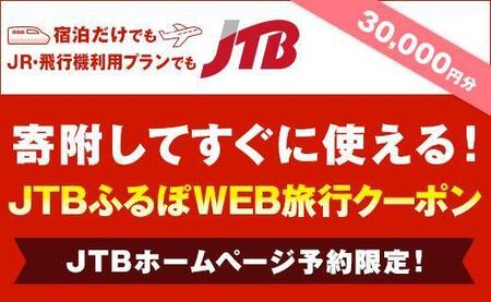 【堺市】JTBふるぽWEB旅行クーポン（30,000円分）