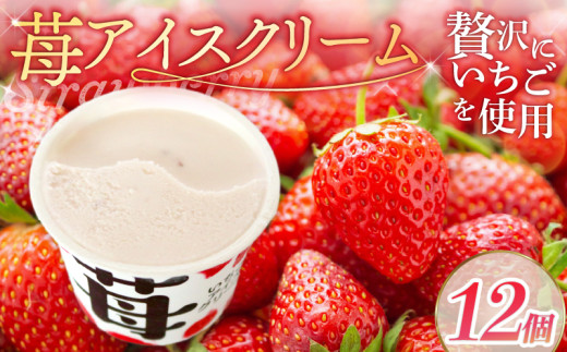 苺アイスクリーム110ml✕12個 | アイスクリーム 人気 大容量 有名 アイスセット 詰め合わせ スイーツ ジェラート 久保田食品 高知県 南国市