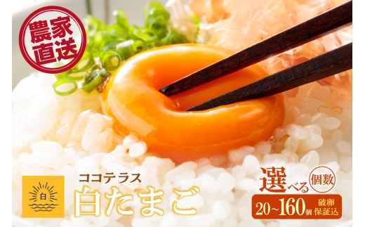 
                  ココテラスの朝日（白たまご）単品　20個から160個　選べる個数【JGAP認証】
                