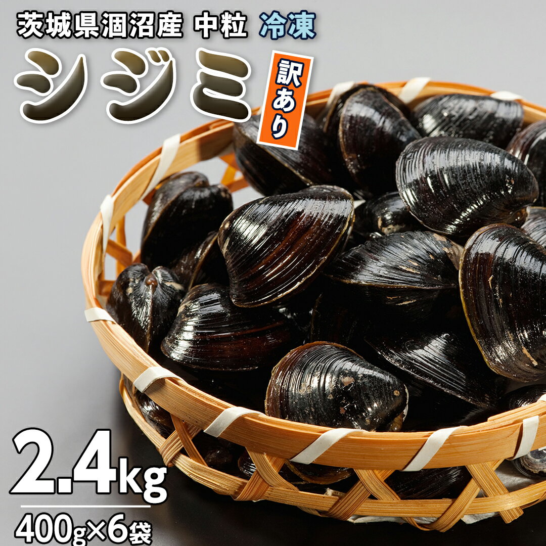 【ふるさと納税】【訳あり】茨城県 涸沼産 中粒 冷凍 シジミ 2.4kg（400g×6袋） ヤマトシジミ しじみ 中粒 冷凍 味噌汁 スープ 魚貝類 貝 オルニチン コハク酸 小分け 規格外