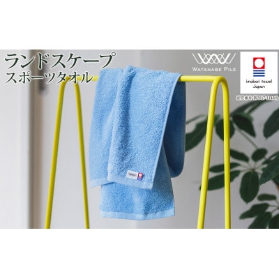(今治タオル)ランドスケープスポーツタオル 1枚 ライトブルー【IA05210LB】【1610596】