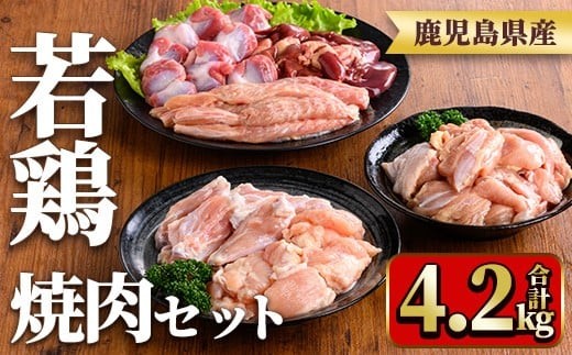 y548 鹿児島県産若鶏焼肉セット(6種・合計4.2kg) 国産 鶏肉 鳥肉 肉 若鶏 お肉 もも肉 モモ肉 砂肝 肝 手羽中 肩肉 チキン チキンリブ セット 詰め合わせ 焼き肉 焼肉 やきにく 小