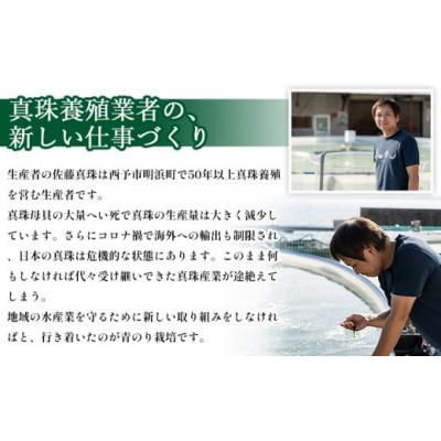 ふるさと納税 西予市 <打ち抜き海水で育てた「すじ青のり」粉末 200g入り×1袋 業務用> 甲殻類アレルギーフリー 色づ |  | 03