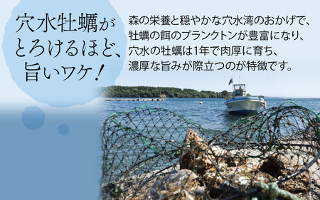 奥能登 松村水産の岩牡蠣 約3kg【殻付き・加熱用】 【2025年6月中旬より順次発送】/ 魚介類 海鮮 かき 