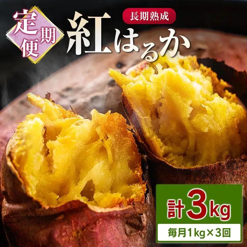 ＜定期便＞3回お届け！長期熟成 紅はるか 計3kg（1kg×3回）宮崎県都城市産 さつまいも サツマイモ