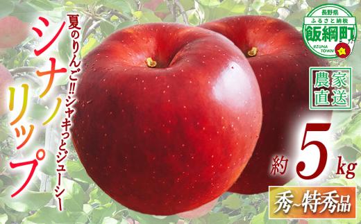 りんご シナノリップ 秀 〜 特秀 5kg 若林農園 沖縄県への配送不可 2026年8月中旬頃から2026年8月下旬頃まで順次発送予定 令和8年度収穫分 信州 果物 フルーツ リンゴ 林檎 長野 予約 農家直送 長野県 飯綱町 [2119]